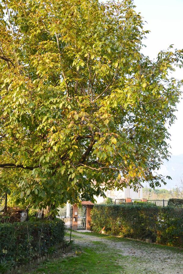 Fable Bed & Breakfast Terni Exterior foto
